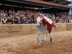 Tutte le foto più belle del Palio degli asini, vinto dal borgo dei Brichet 52