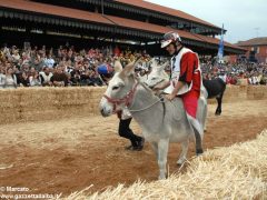 Tutte le foto più belle del Palio degli asini, vinto dal borgo dei Brichet 53