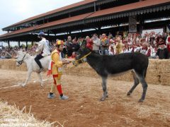 Tutte le foto più belle del Palio degli asini, vinto dal borgo dei Brichet 54