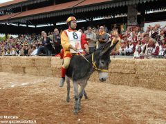 Tutte le foto più belle del Palio degli asini, vinto dal borgo dei Brichet 55