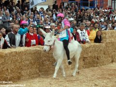 Tutte le foto più belle del Palio degli asini, vinto dal borgo dei Brichet 56