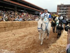 Tutte le foto più belle del Palio degli asini, vinto dal borgo dei Brichet 58