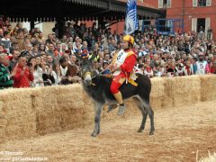 Tutte le foto più belle del Palio degli asini, vinto dal borgo dei Brichet 59