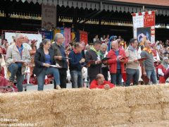 Tutte le foto più belle del Palio degli asini, vinto dal borgo dei Brichet 60