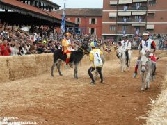 Tutte le foto più belle del Palio degli asini, vinto dal borgo dei Brichet 61