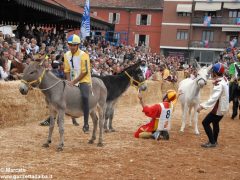 Tutte le foto più belle del Palio degli asini, vinto dal borgo dei Brichet 62