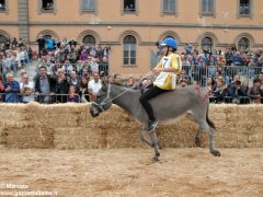 Tutte le foto più belle del Palio degli asini, vinto dal borgo dei Brichet 10