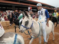 Tutte le foto più belle del Palio degli asini, vinto dal borgo dei Brichet 64