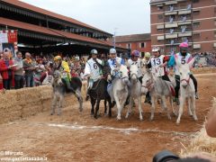 Tutte le foto più belle del Palio degli asini, vinto dal borgo dei Brichet 66