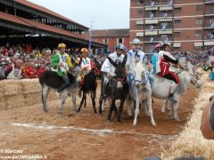 Tutte le foto più belle del Palio degli asini, vinto dal borgo dei Brichet 67