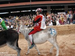 Tutte le foto più belle del Palio degli asini, vinto dal borgo dei Brichet 68