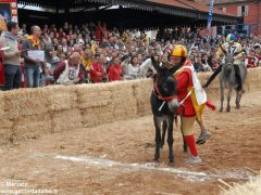 Tutte le foto più belle del Palio degli asini, vinto dal borgo dei Brichet 69