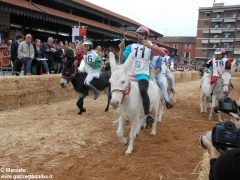 Tutte le foto più belle del Palio degli asini, vinto dal borgo dei Brichet 71