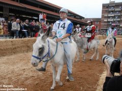 Tutte le foto più belle del Palio degli asini, vinto dal borgo dei Brichet 72