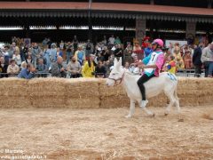 Tutte le foto più belle del Palio degli asini, vinto dal borgo dei Brichet 73