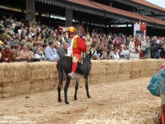 Tutte le foto più belle del Palio degli asini, vinto dal borgo dei Brichet 11