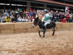 Tutte le foto più belle del Palio degli asini, vinto dal borgo dei Brichet 74