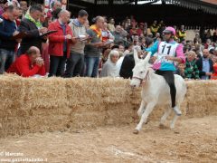 Tutte le foto più belle del Palio degli asini, vinto dal borgo dei Brichet 75