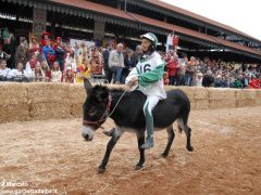 Tutte le foto più belle del Palio degli asini, vinto dal borgo dei Brichet 76