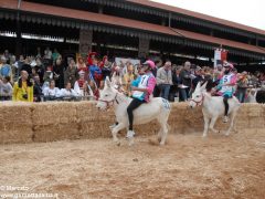 Tutte le foto più belle del Palio degli asini, vinto dal borgo dei Brichet 77