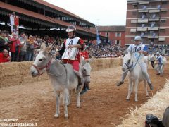 Tutte le foto più belle del Palio degli asini, vinto dal borgo dei Brichet 79