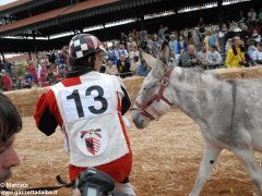 Tutte le foto più belle del Palio degli asini, vinto dal borgo dei Brichet 80