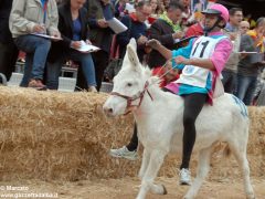 Tutte le foto più belle del Palio degli asini, vinto dal borgo dei Brichet 81