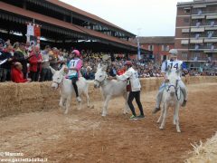 Tutte le foto più belle del Palio degli asini, vinto dal borgo dei Brichet 82