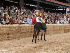 Tutte le foto più belle del Palio degli asini, vinto dal borgo dei Brichet 12