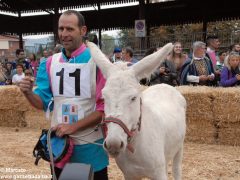 Tutte le foto più belle del Palio degli asini, vinto dal borgo dei Brichet 85