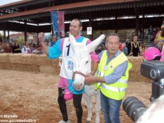 Tutte le foto più belle del Palio degli asini, vinto dal borgo dei Brichet 90