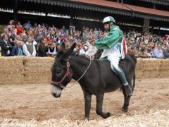 Tutte le foto più belle del Palio degli asini, vinto dal borgo dei Brichet 13