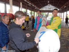 Tutte le foto più belle del Palio degli asini, vinto dal borgo dei Brichet 2