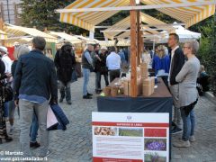 La Banca dei sapori in piazza San Paolo in ogni domenica d