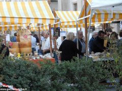 La Banca dei sapori in piazza San Paolo in ogni domenica d