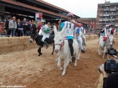 Tutte le foto più belle del Palio degli asini, vinto dal borgo dei Brichet 98