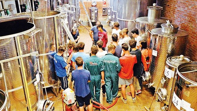 Parte ad Asti il polo di ricerca  legato alla viticoltura