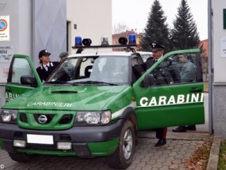 False perizie acustiche scoperte dai carabinieri forestali 1