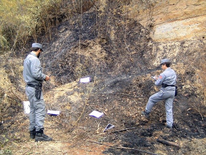 Ferrere: getta la cenere del camino a ridosso del bosco e la vegetazione prende fuoco 1