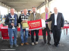 Tutti i premiati della grande rassegna dei bovini della sottorazza albese della coscia 2