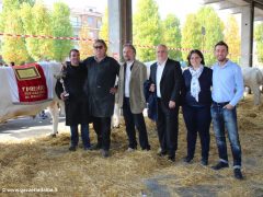 Tutti i premiati della grande rassegna dei bovini della sottorazza albese della coscia 4