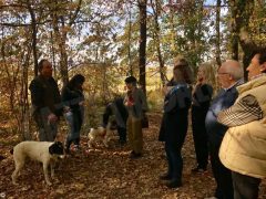 Profumo tour: dal Museo delle essenze di Savigliano al bosco del tartufo di Alba 6