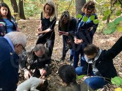 Profumo tour: dal Museo delle essenze di Savigliano al bosco del tartufo di Alba 8