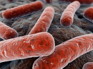 Caso di tubercolosi in una scuola del cuneese