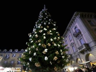 Inaugurato il grande albero natalizio donato dalla Ferrero