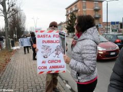 Manifestazione contro il circo con gli animali