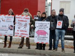 Manifestazione contro il circo con gli animali 1