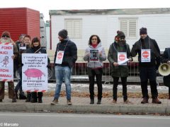 Manifestazione contro il circo con gli animali 2