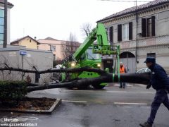 Un grande albero è crollato, ostruendo corso Michele Coppino ad Alba 6