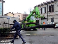 Un grande albero è crollato, ostruendo corso Michele Coppino ad Alba 7